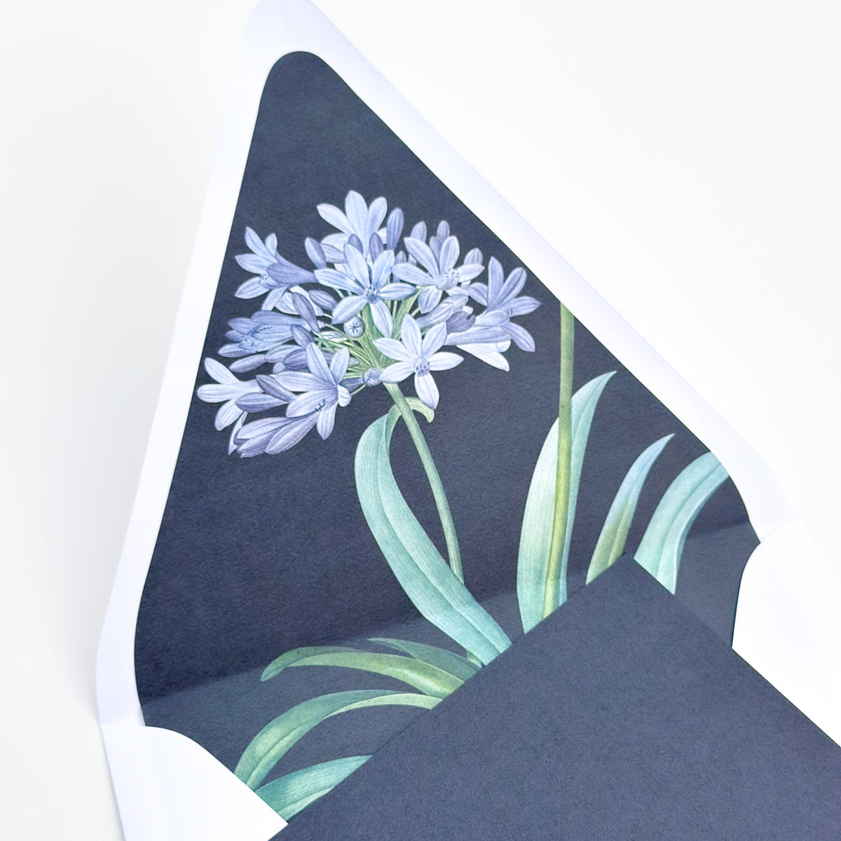 Botanical Midnight Blue - Square Notecard & Envelope