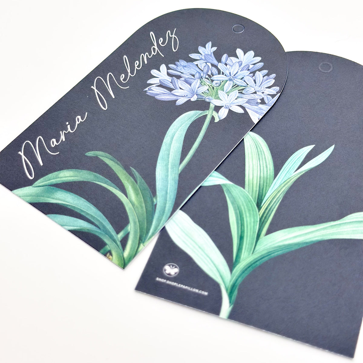 Botanical Midnight Blue - Arch Gift Tag