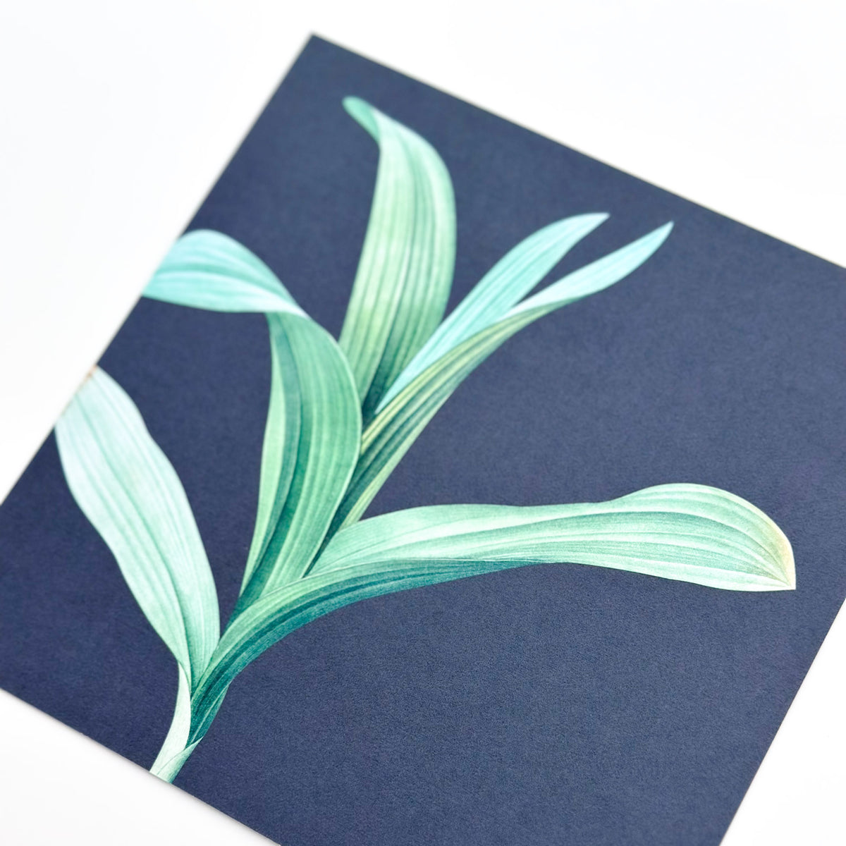 Botanical Midnight Blue - Square Notecard & Envelope