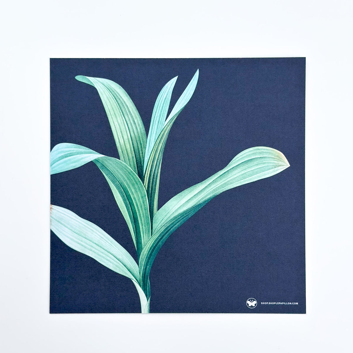 Botanical Midnight Blue - Square Notecard & Envelope