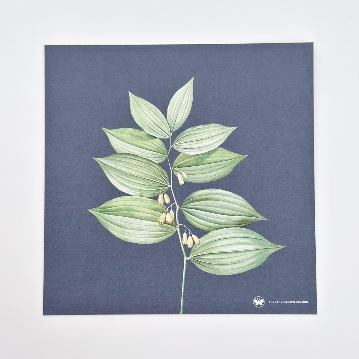 Botanical Midnight Rose - Square Notecard & Envelope