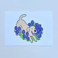 Marilú Bluebonnets  - Art Postcard