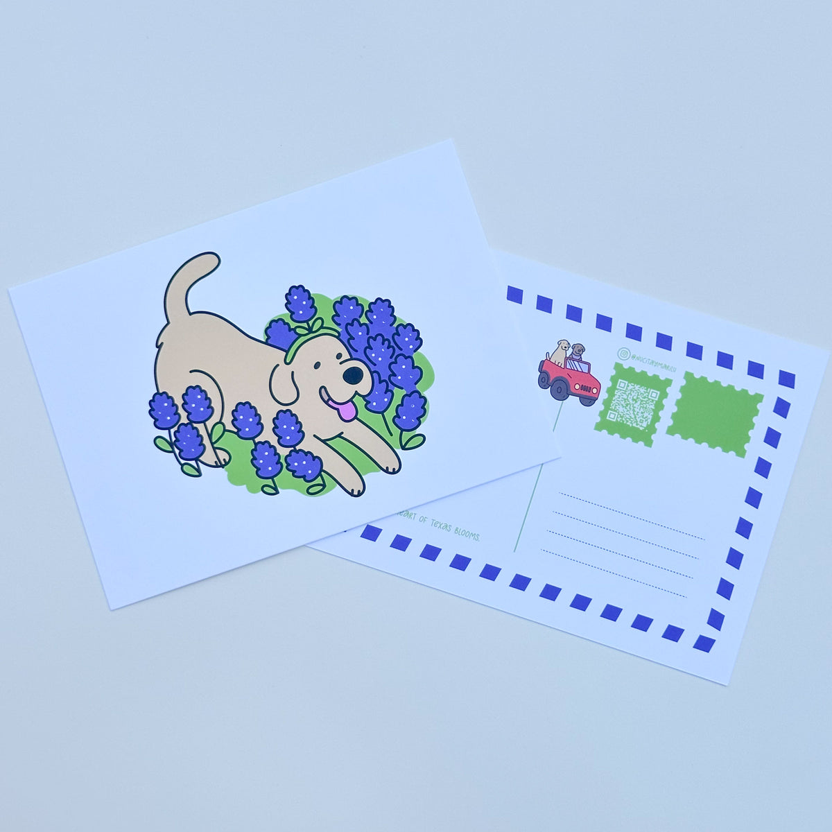 Marilú Bluebonnets  - Art Postcard